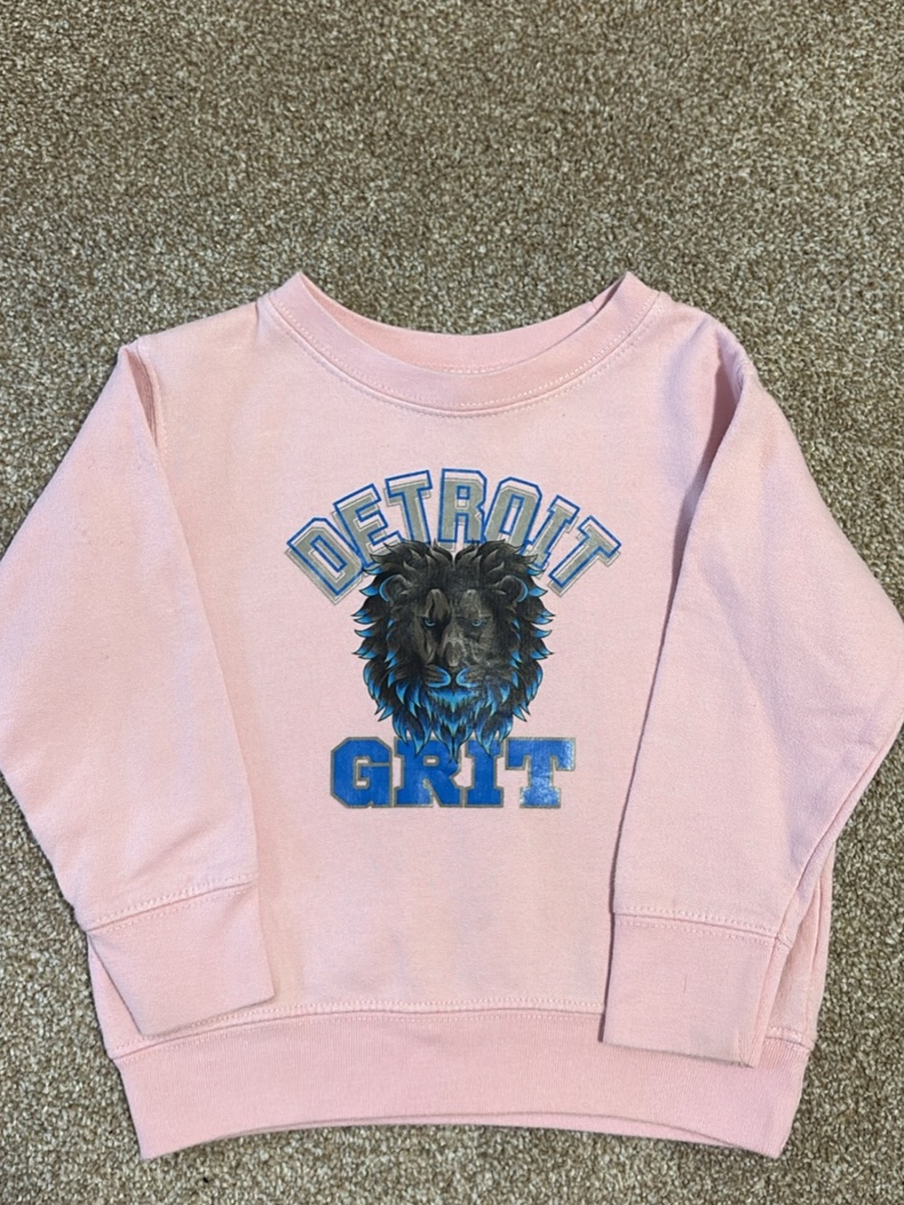 2T Pink Detroit Lions Sweatshirt